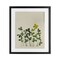 Stupell Industries Hidden Gems Botanicals Framed Print Under Glass, design by Grace Popp